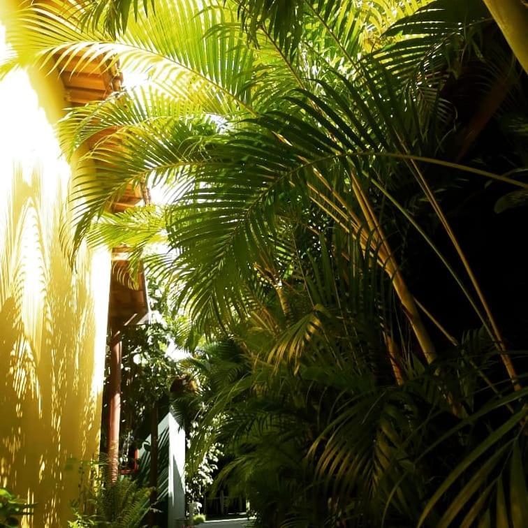 Pousada Corais Do Sul Caraíva エクステリア 写真